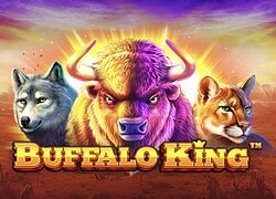 Buffalo King Ignition Casino Slot