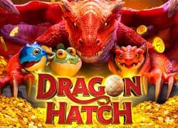 Dragon Hatch Ignition Casino Game