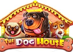 Dog House Ignition Casino Game